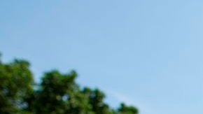 Los inmigrantes en EEUU están perdiendo la paciencia al ver la inacción del Congreso y la Casa Blanca para alcanzar una reforma migratoria.