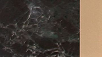 La maniobra de Ted Cruz ha suscitado la polémica y la división en las filas del propio partido republicano, cuyo liderazgo en la Cámara Alta la considera condenada al fracaso.