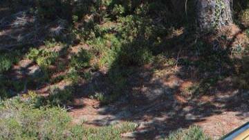 Este singular diseño atrae las miradas de propios y extraños.