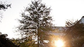 Iniciativa retrasaría por un año más gran parte de la reforma del 2010 al sistema de salud.