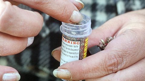 Autoridades sanitarias del país están alertas ante más casos.