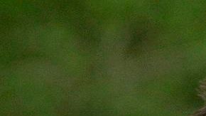 ¿Sus nombres pesarán por cuestiones de patrocinio?