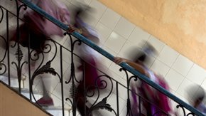 El Colegio regresará a clases hasta el 15 de octubre.