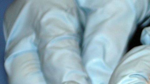 Uno de los nuevos ositos panda del Zoológico Nacional de Washington que no podrán ser vistos por el público debido al cierre de Gobierno.