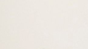 Una pareja en Illinois intenta inscribirse en la reforma de salud, con la ayuda de voluntarios de la Campaña Pública de Salud Distrital.