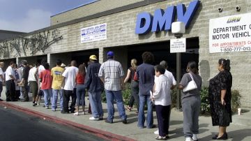 El Departamento de Motores y Vehículos (DMV) de California advierte que las nuevas licencias para indocumentados comenzarán a expedirse en enero de 2015.
