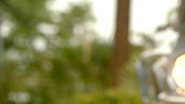 El nuevo disco de Prince Royce "Soy el mismo" incluye 11 temas, ocho en español y tres en inglés.