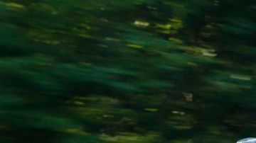 Rogue será la primera SUV en gozar de los beneficios de iTunes Radio.