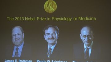 Fotos de los dos científicos estadounidenses  y un alemán ganadores del Nobel de Medicina 2013.