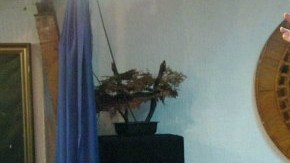 El famoso Brujo Mayor habla de la selección mexicana