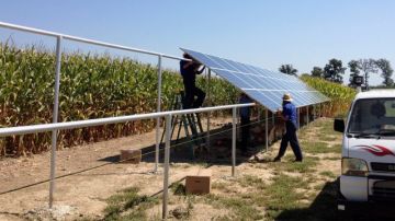 Miles de granjas y otros pequeños negocios en todo Estados Unidos han comenzado a abrazar la energía renovable para reducir los costos