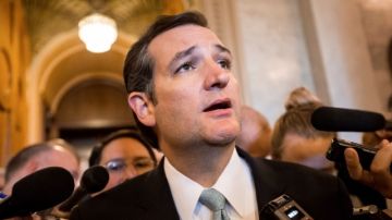 Ted  Cruz (R-Texas) se convirtió en la punta de lanza del ataque contra la Ley de Reforma de Salud  y el cierre del Gobierno federal.
