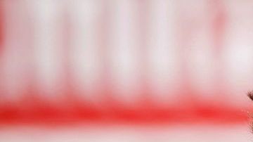 Gutiérrez tiene la ventaja-desventaja de conocer apenas el trazado de Suzuka.