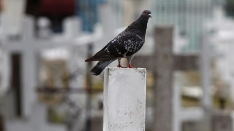 Honduras en uno de los países más violentos del mundo, de acuerdo a la ONU.