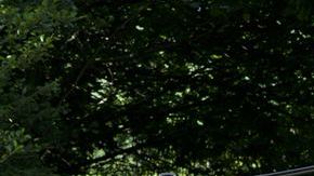 El vehículo se dejó de vender en Estados Unidos ya que no cumplía con requerimentos federales de seguridad.