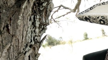 'Lástima que sean ajenas' de Pepe Aguilar ya está disponible en forma física y digital.