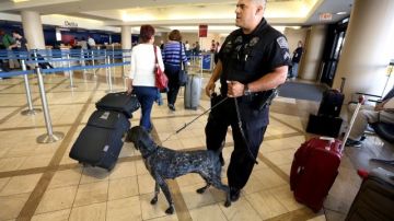 La policía del Aeropuerto Internacional de Los Ángeles ha aumentado las patrullas luego de las explosiones de hielo seco ocurridas.