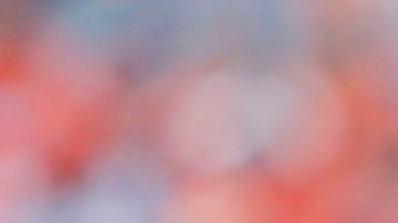 Peyton Manning vuelve al pasado.