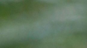 Klinsmann es un pragmático.