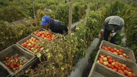 Millones de  trabajadores indocumentados tienen la esperanza de que con una reforma migratoria puedan salir de las sombras.