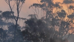 Las autoridades advirtieron que las altas temperaturas y los vientos eran propensos a mantener un elevado riesgo  de incendios.