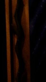 Una Virgen de Guadalupe con el rostro compuesto por las facciones de mujeres desaparecidas en Ciudad Juárez, México, de Diane Kahlo.