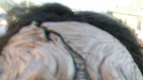 Es tiempo de ponerse los disfraces y de levantar altares.