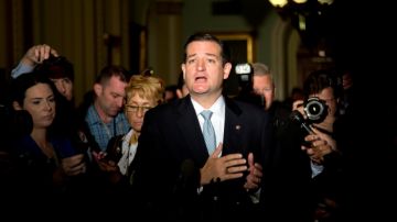 El senador  Ted Cruz (R-Texas) aprovecha estar bajo el reflector de los medios.