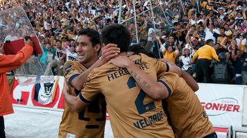 Pumas está obligado a sumar puntos en la fecha 15 del Apertura 2013.