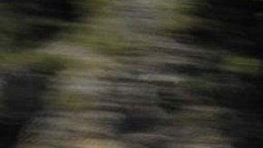 Cuenta una estructura que enseña la última filosofía de diseño de la compañía.