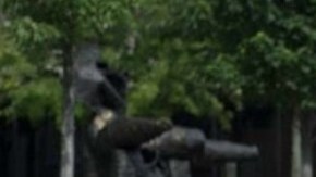 El modelo ya está en su quinta generación.