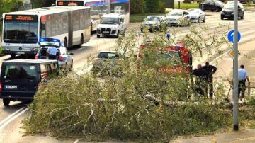 Un árbol caído bloquea una carretera en Moenchengladbach (Alemania), provocado por el fuerte temporal.