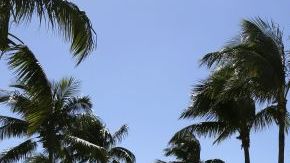 Muchos opinan que en un año electoral, como es 2014, el Congreso no llevaría a cabo una medida como la reforma migratoria.