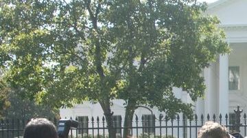 Parientes de personas deportadas lloraron al contar el dolor que están sufriendo por la separación familiar.