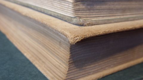 Los libros que cuentan la historia como un gran mural en movimiento.