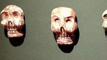 Karla Castañeda, madre una niña desaparecida en Ciudad Juáez, denunció que las autoridades en Chihuahua les devuelven huesos óseos cuando organizan marchas, "para calmarnos".