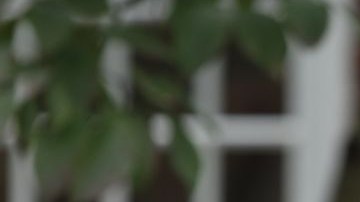 La joven fue atacada el año pasado por talibanes.