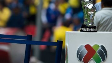 Ocho equipos buscarán la gloria en el torneo Apertura 2013