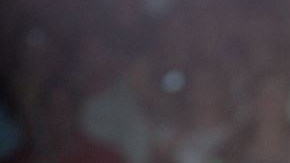 Jenni Rivera realizó su último y multitudinario concierto en Monterrey horas antes de que el avión privado en el que viajaba junto a otras seis personas se estrellara.