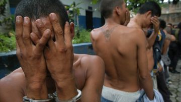Pandilleros de la 'Mara Salvatrucha' son vistos en la Policía Nacional Civil (PNC) tras ser detenidos, en San Salvador.