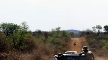 La “porosidad” de la frontera entre México y Guatemala, y demás vecinos, y la corrupción de los funcionarios, facilitan las operaciones del crimen organizado.