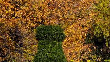 Combinan a la perfección.