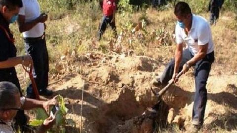 Los cuerpos fueron localizados en los alrededores de la carretera federal Acapulco-Pinotepa.