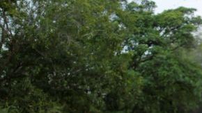 La violencia se ha incrementado en los últimos meses en el estado.