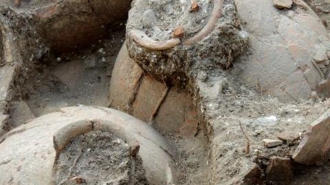 Los científicos encontraron 40 ánforas de cerámica, cada una con capacidad para unos 49 litros (13 galones), en una sola habitación.