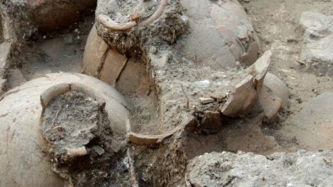 Los científicos encontraron 40 ánforas de cerámica, cada una con capacidad para unos 49 litros (13 galones), en una sola habitación.