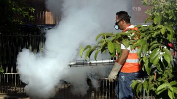 Un trabajador  de la salud fumiga para combatir el dengue  en un barrio de Asunción (Paraguay), que al igual que varios países de Centroamérica, atraviesan por una de las  peores epidemias de la enfermedad.