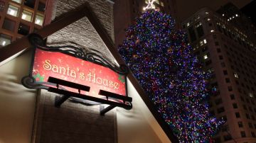Arrancan las celebraciones navideñas en Chicago con la iluminación del árbol en la Plaza Daley.