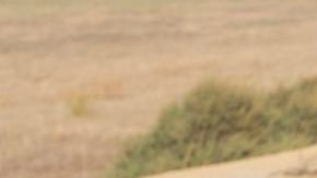 Una opción atractiva y especial para toda la familia.