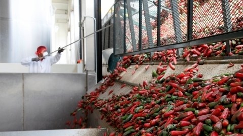 Malestares como tos e irritación se producen principalmente entre agosto y octubre, cuando se cocinan los chiles, dicen vecinos.